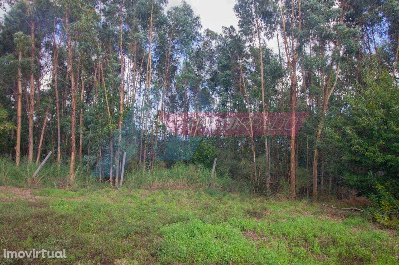 Terreno Rústico em Turiz, Vila Verde! - Grande imagem: 2/5