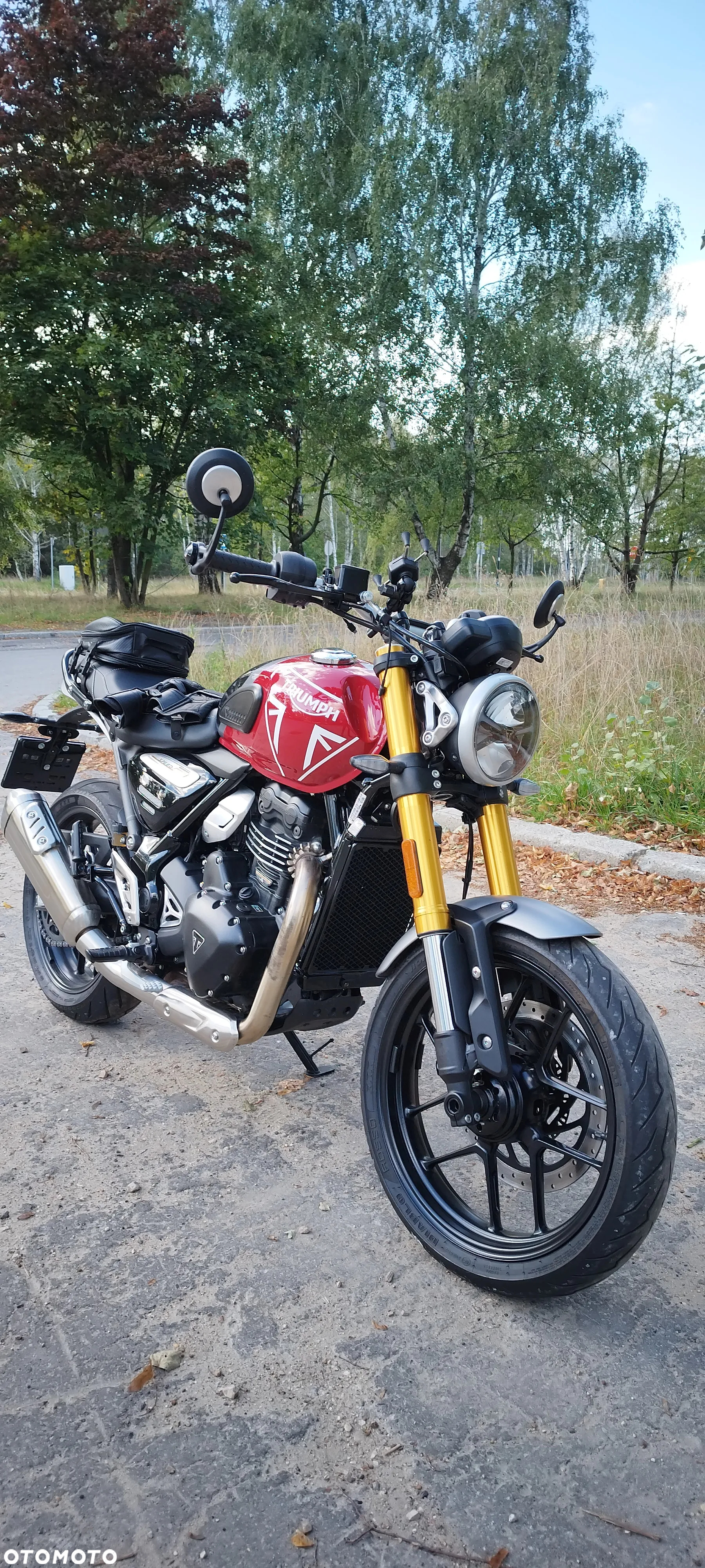 Triumph Inny - 13