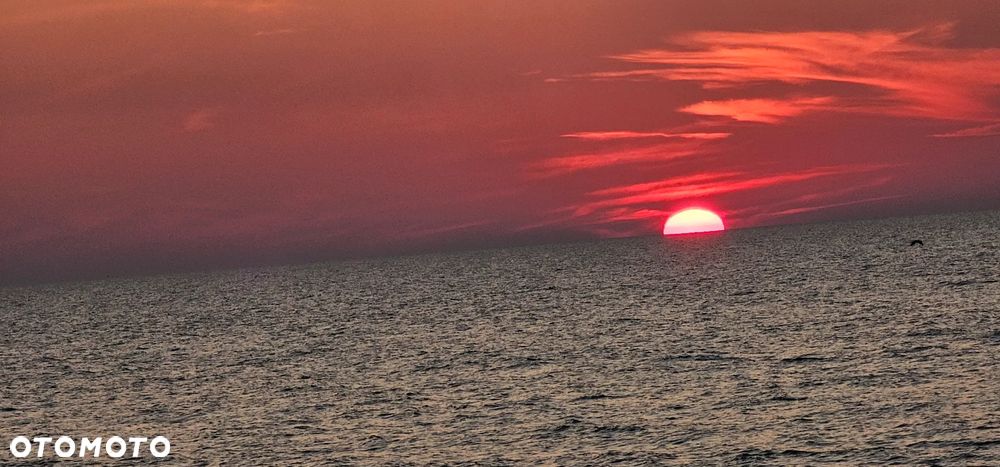 Avondale ARGENTE - 40