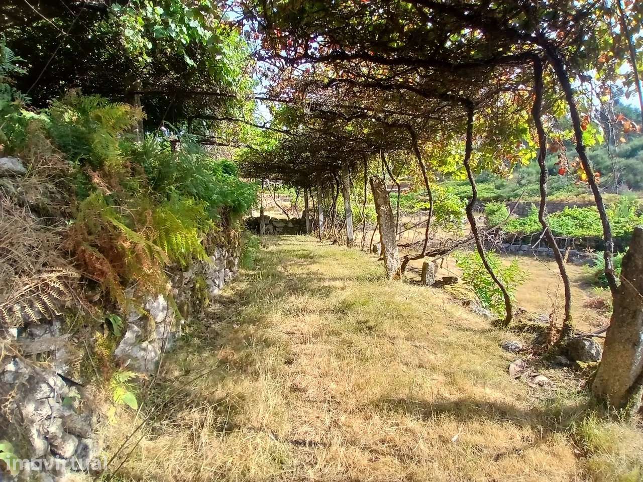 Terreno rústico com casa em pedra para recuperar – Soajo, Arcos de Val - Grande imagem: 3/42