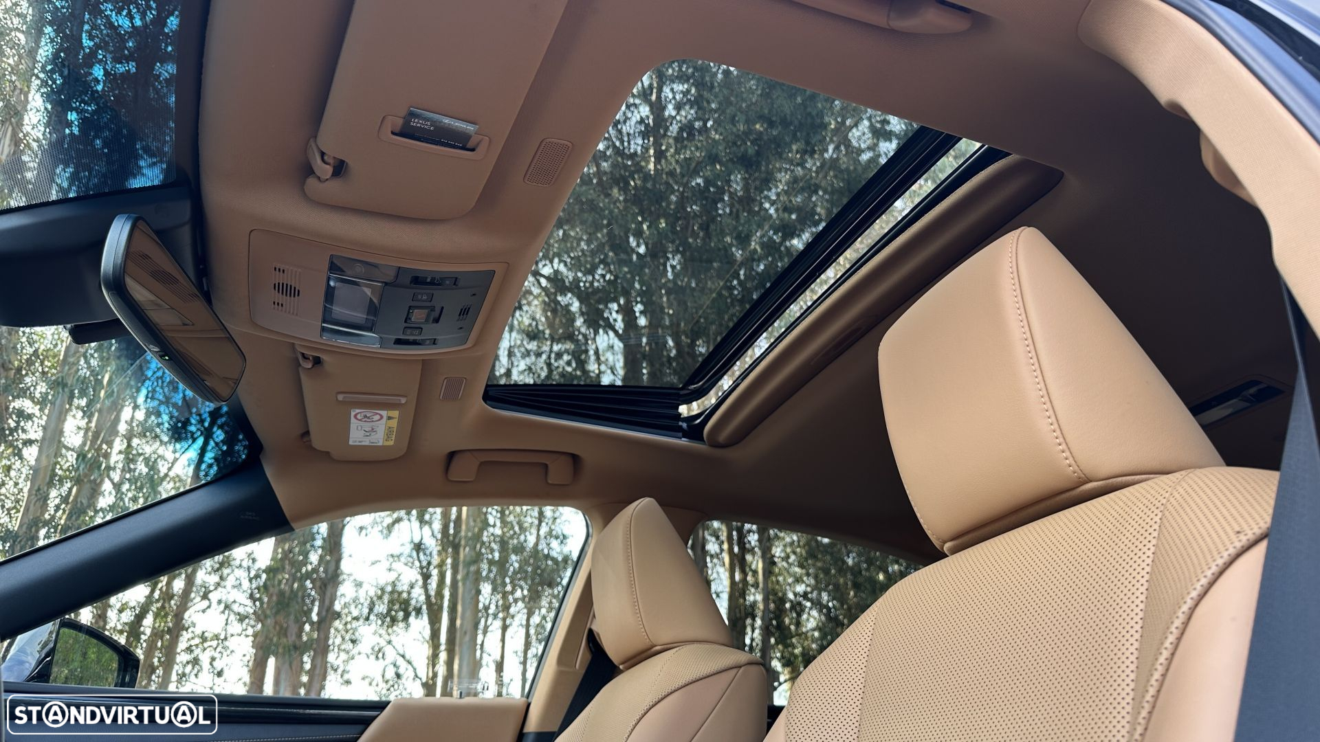 Lexus ES 300h Special Edition - 21