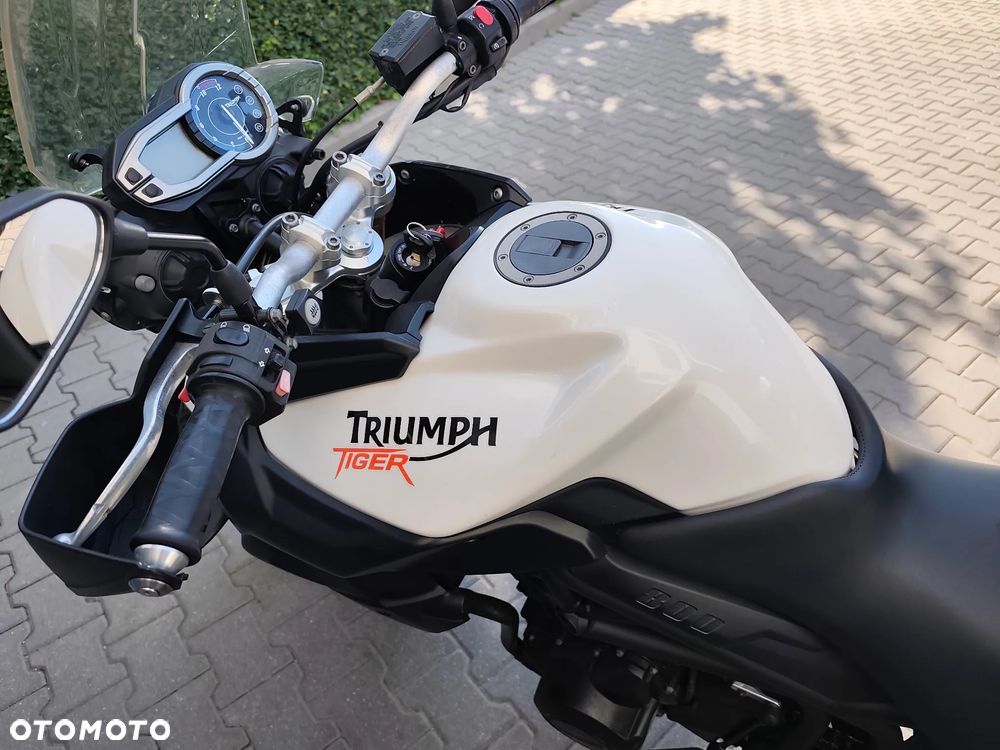 Triumph Tiger - 7