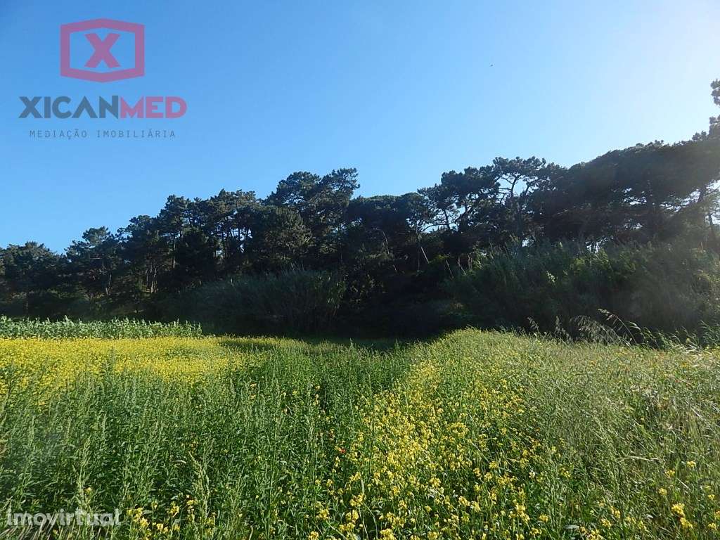 Colares, Terreno Agro florestal - Grande imagem: 2/7