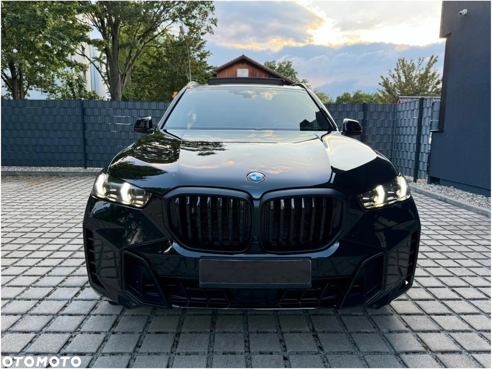 BMW X5 xDrive30d sport - 2