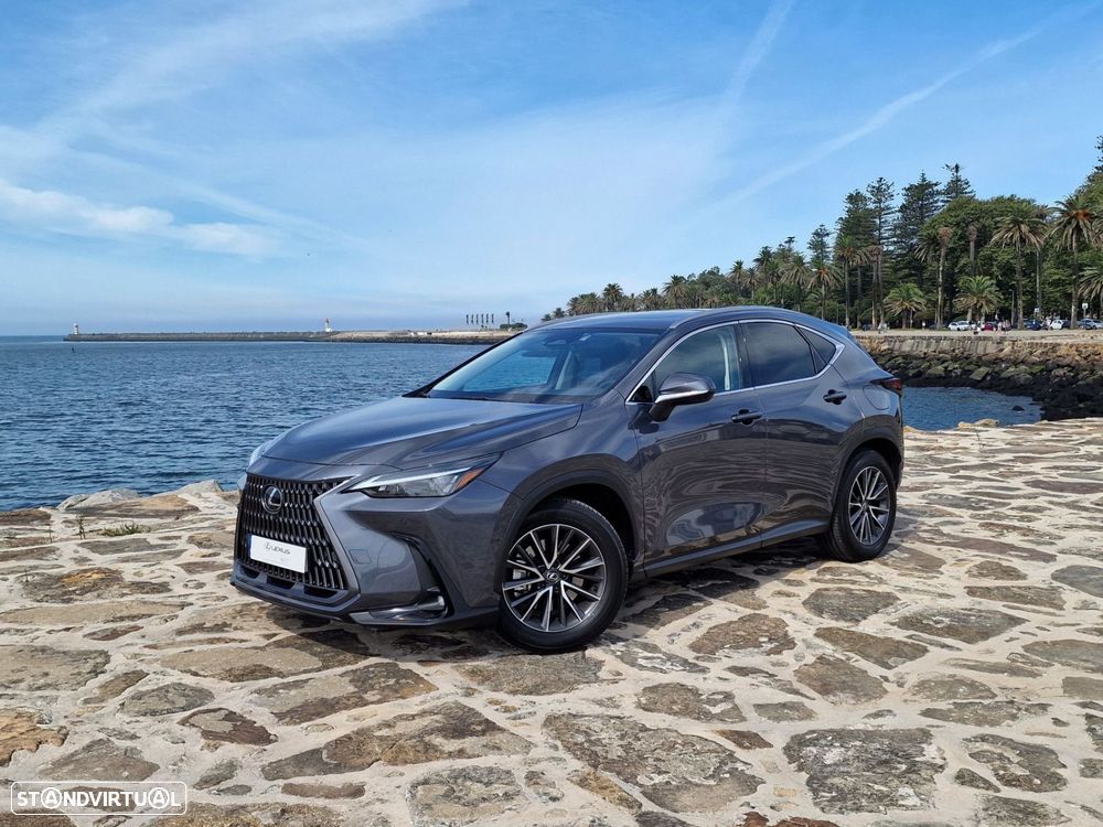 Lexus NX 450h+ - 1