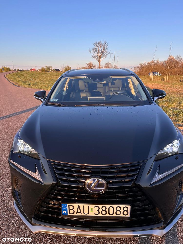 Lexus NX 300h F Impression AWD - 10