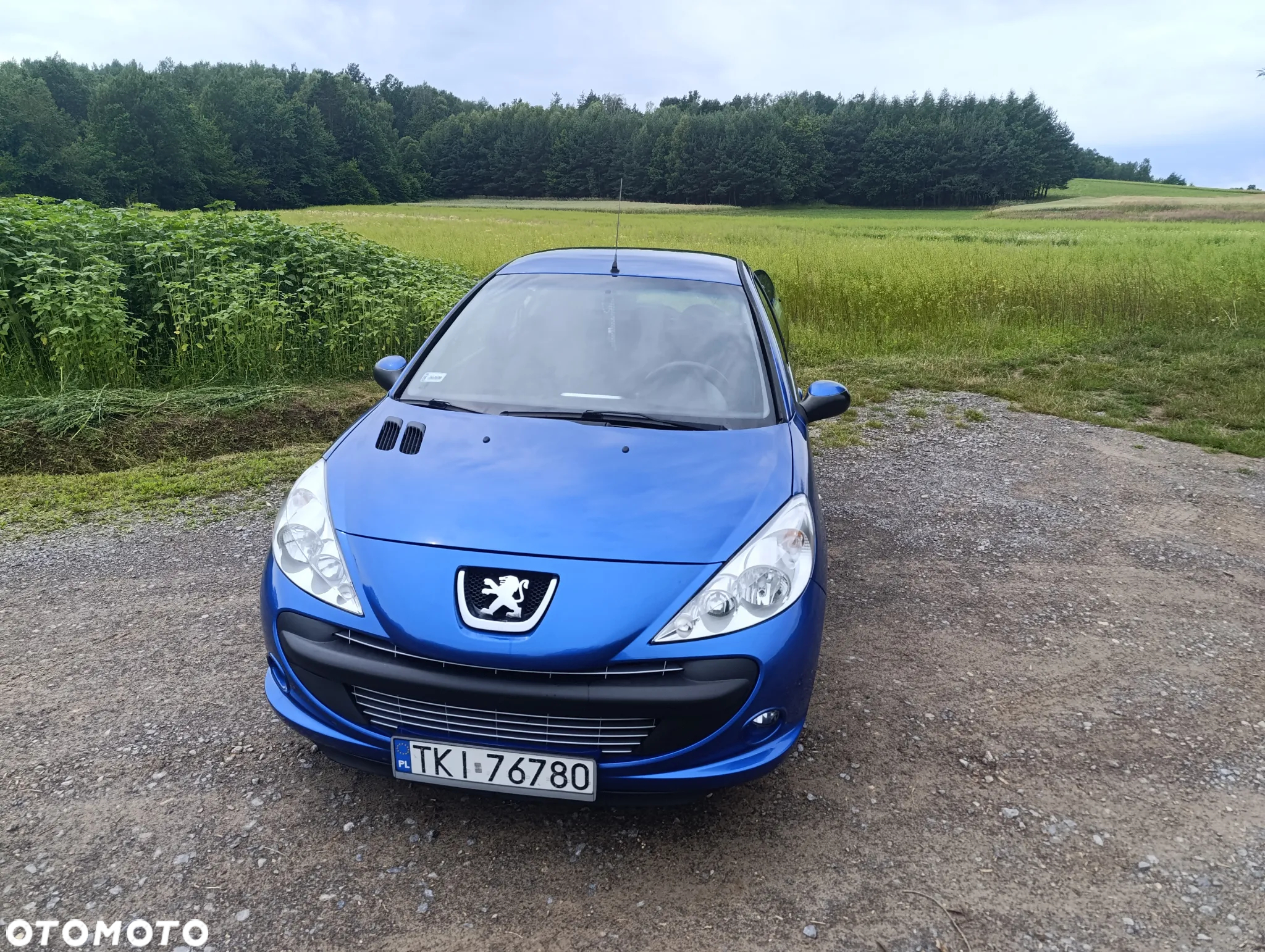 Peugeot 206 plus - 4
