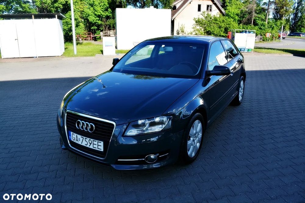 Audi A3 3-drzwiowe 1.6 TDI 99g DPF - 2