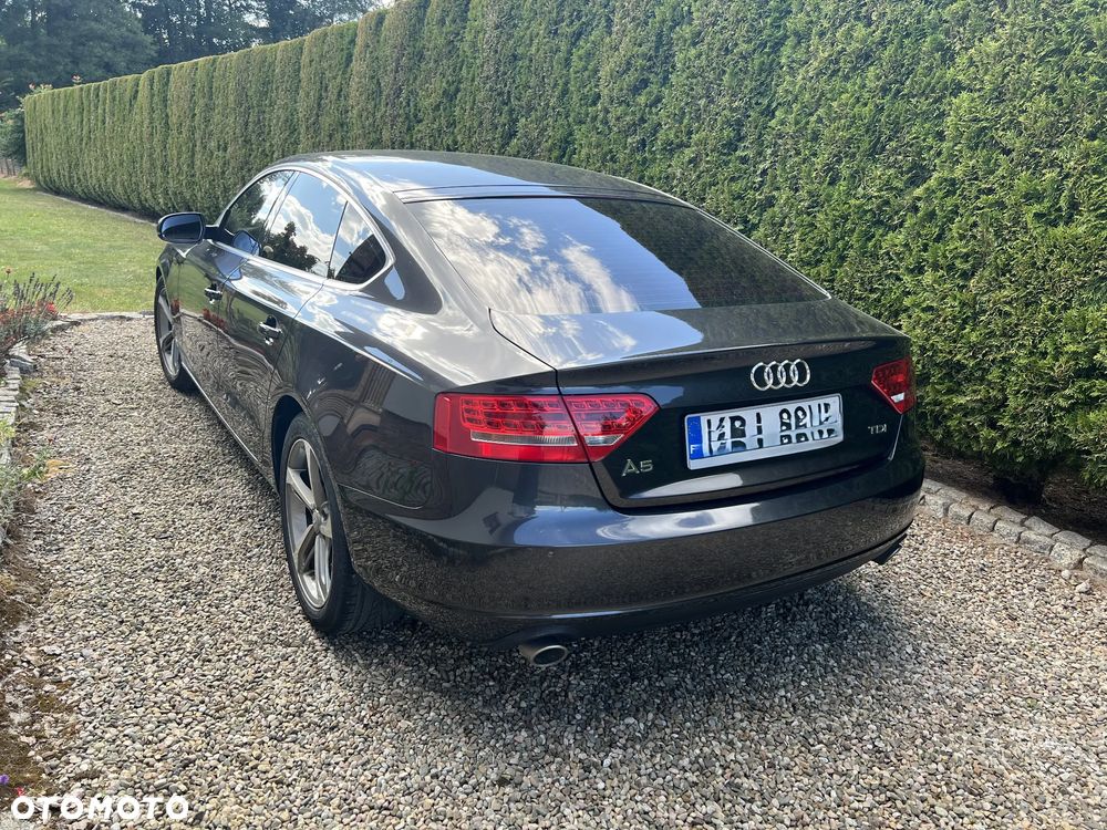 Audi A5 Sportback 2.7 TDI Multitronic - 3