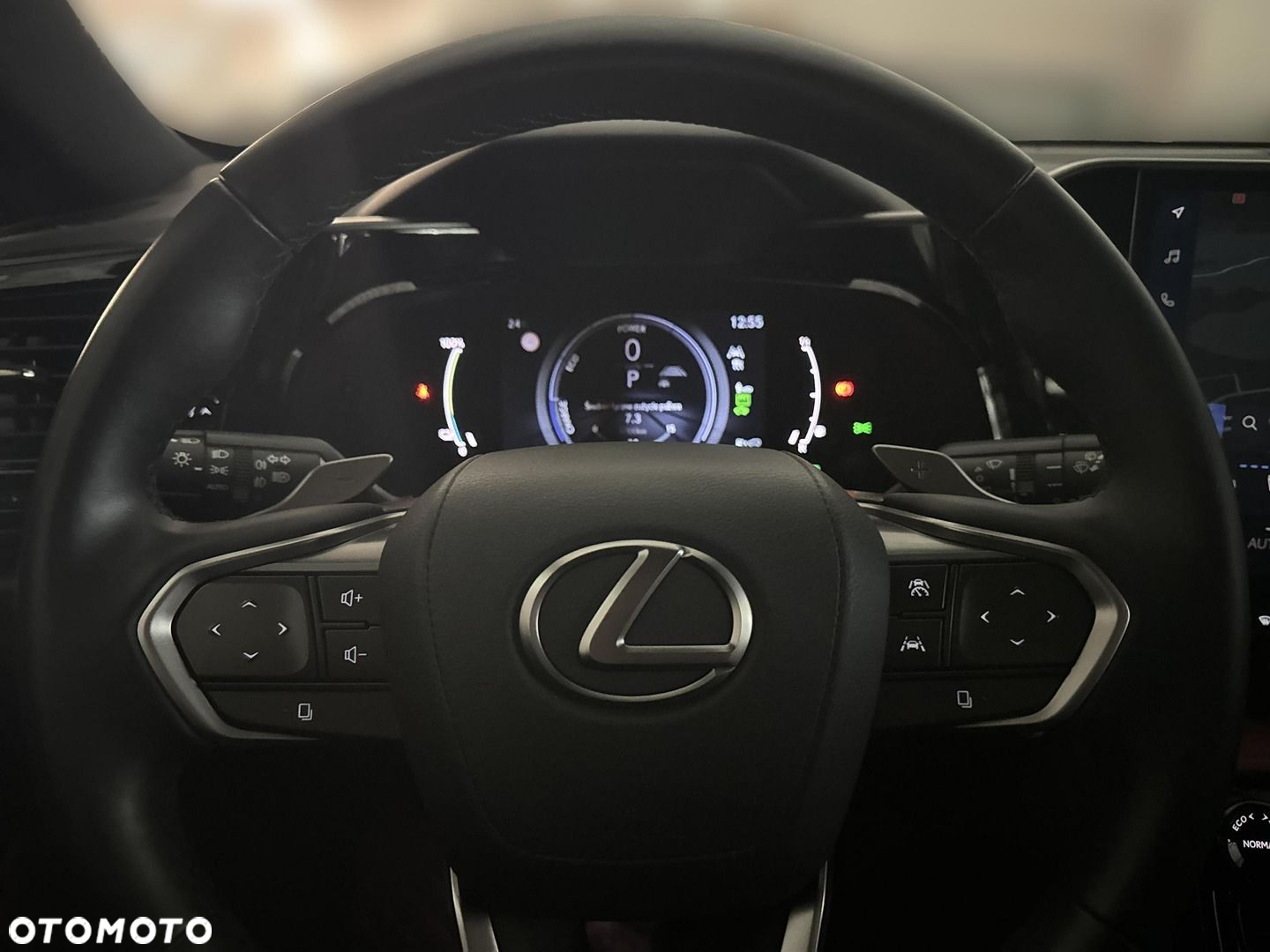 Lexus NX - 20