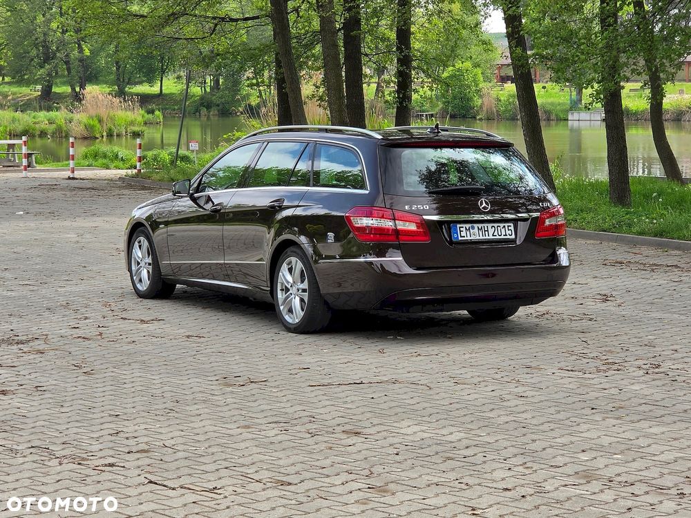 Mercedes-Benz Klasa E 250 CDI DPF BlueEFFICIENCY Avantgarde - 8