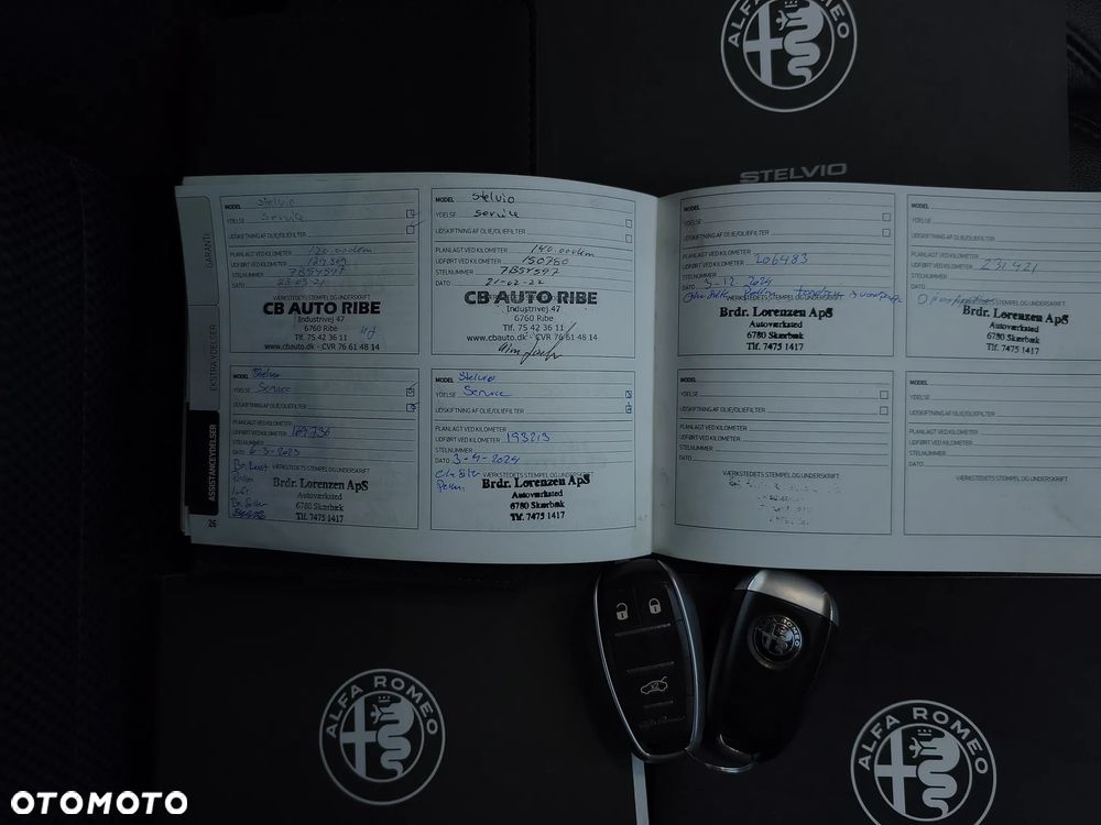 Alfa Romeo Stelvio 2.2 16V AT8 Q4 Super - 15