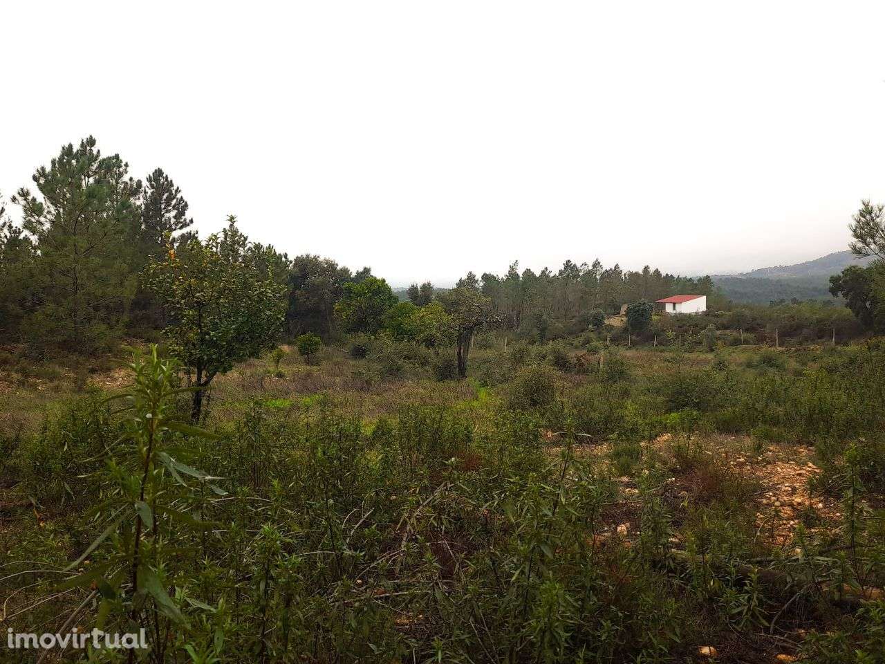 Quinta - Grande imagem: 5/12