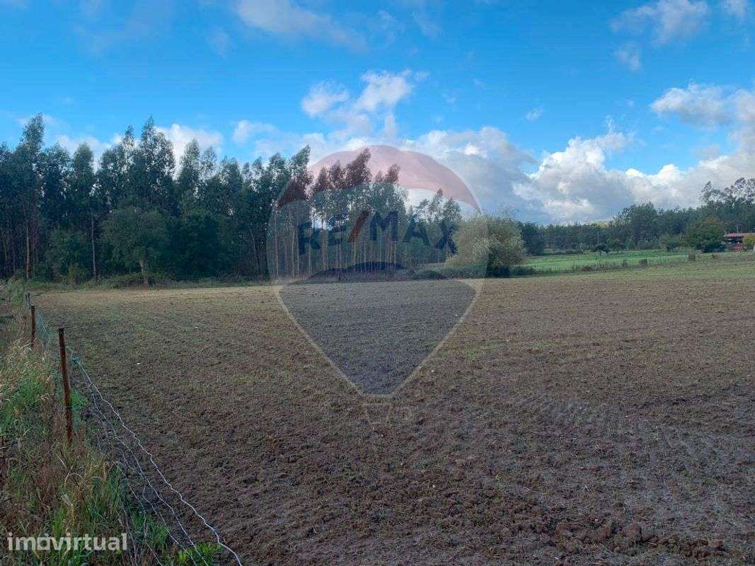Terreno  para venda - Grande imagem: 4/13