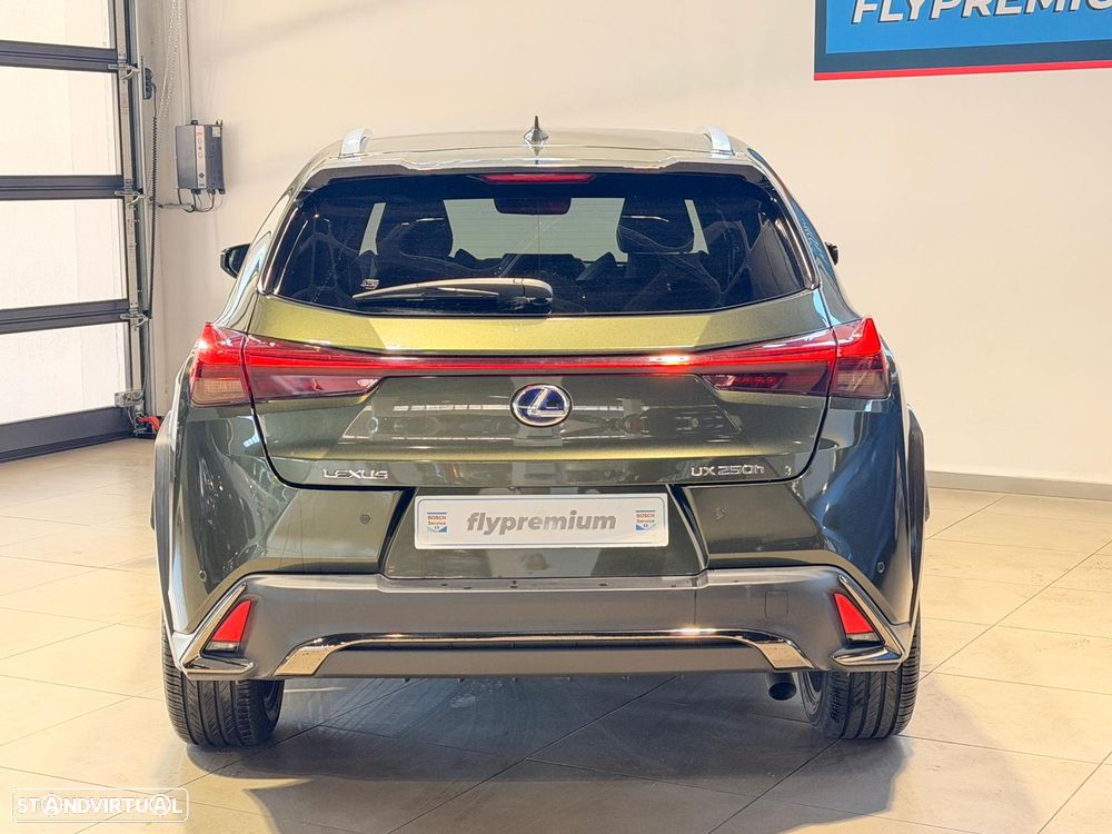 Lexus UX 250h F Sport - 6