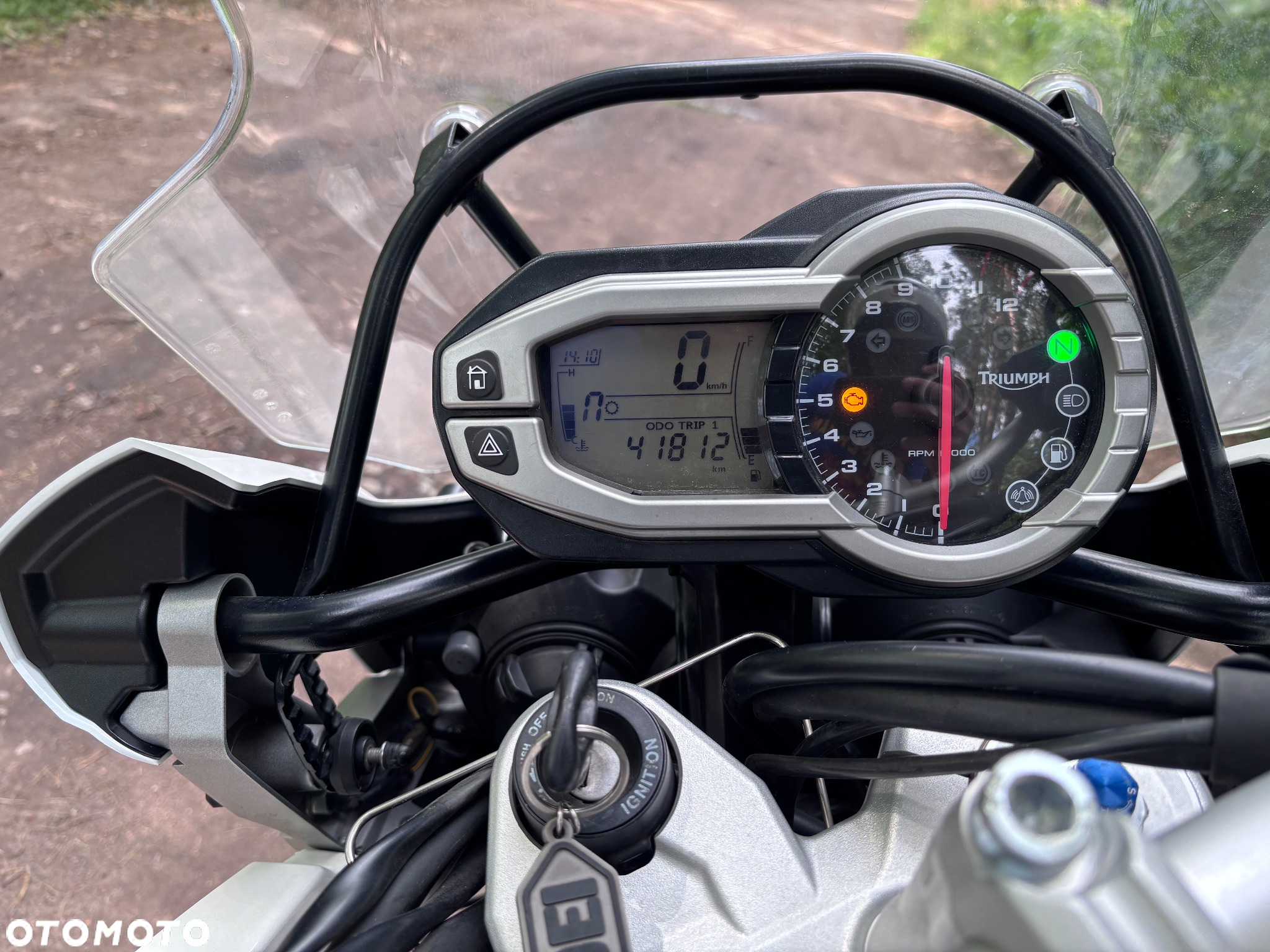 Triumph Tiger - 6