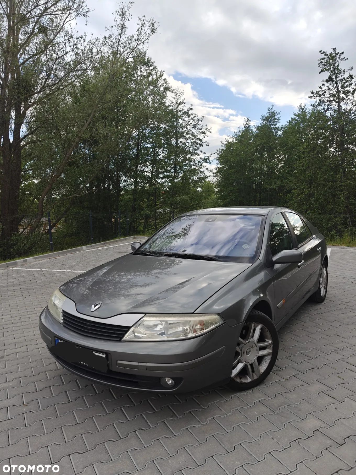 Renault Laguna II 1.9 dCi Privilege - 1