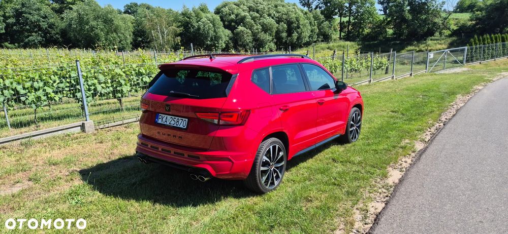 Cupra Ateca - 10