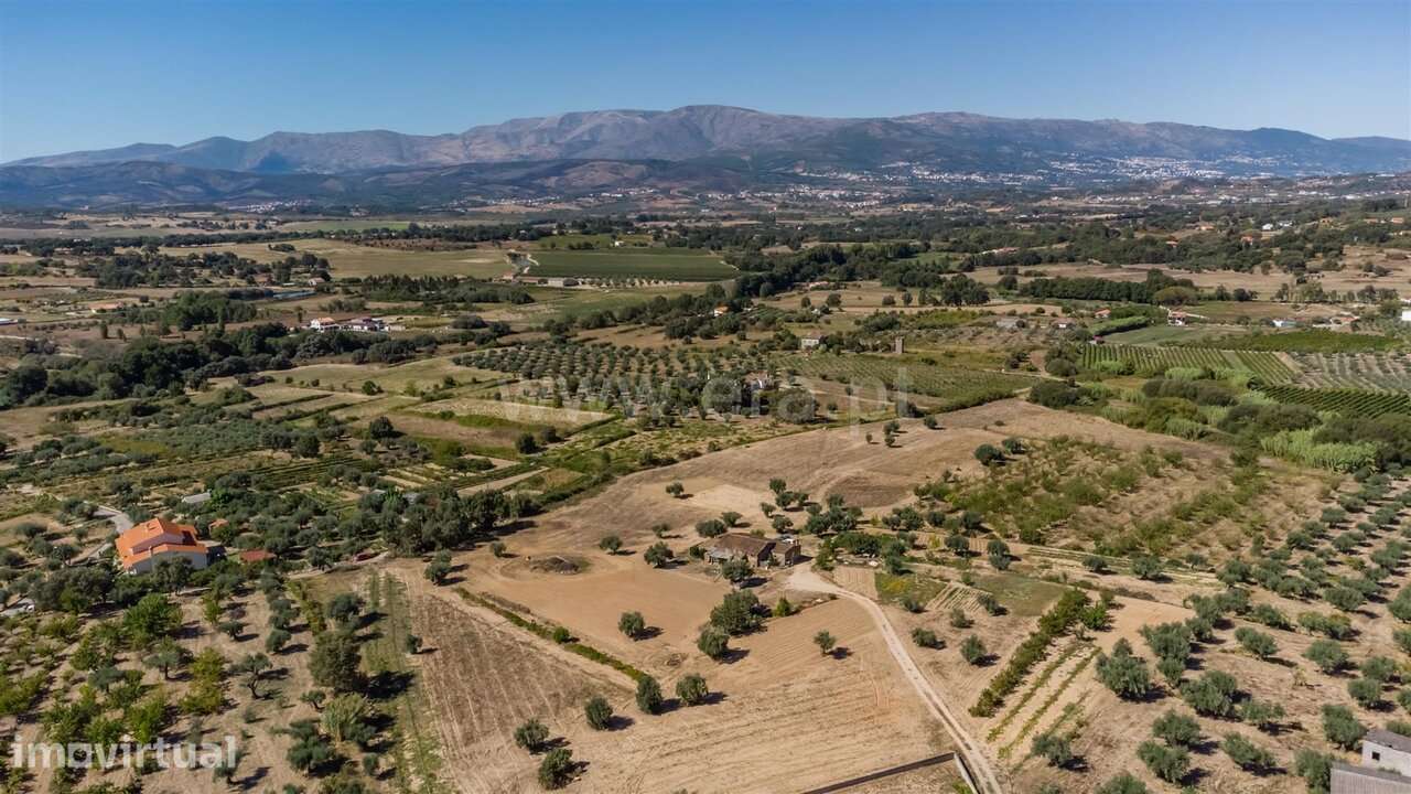 Quinta T1 / Fundão, Fundão - Grande imagem: 3/15