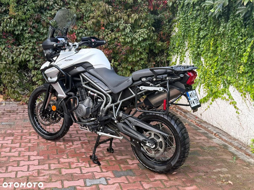 Triumph Tiger - 3
