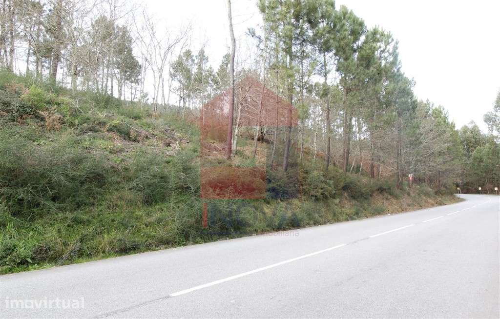 Terreno agrícola, Ponte - Grande imagem: 2/11
