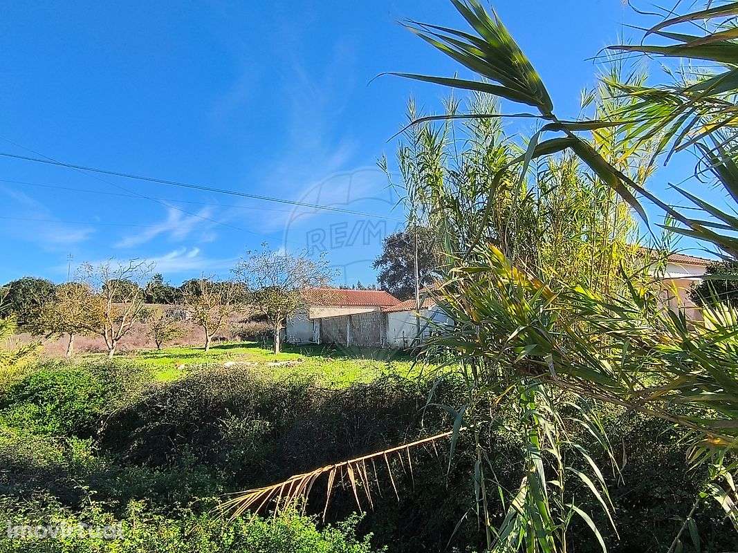 Terreno  para venda - Grande imagem: 2/28