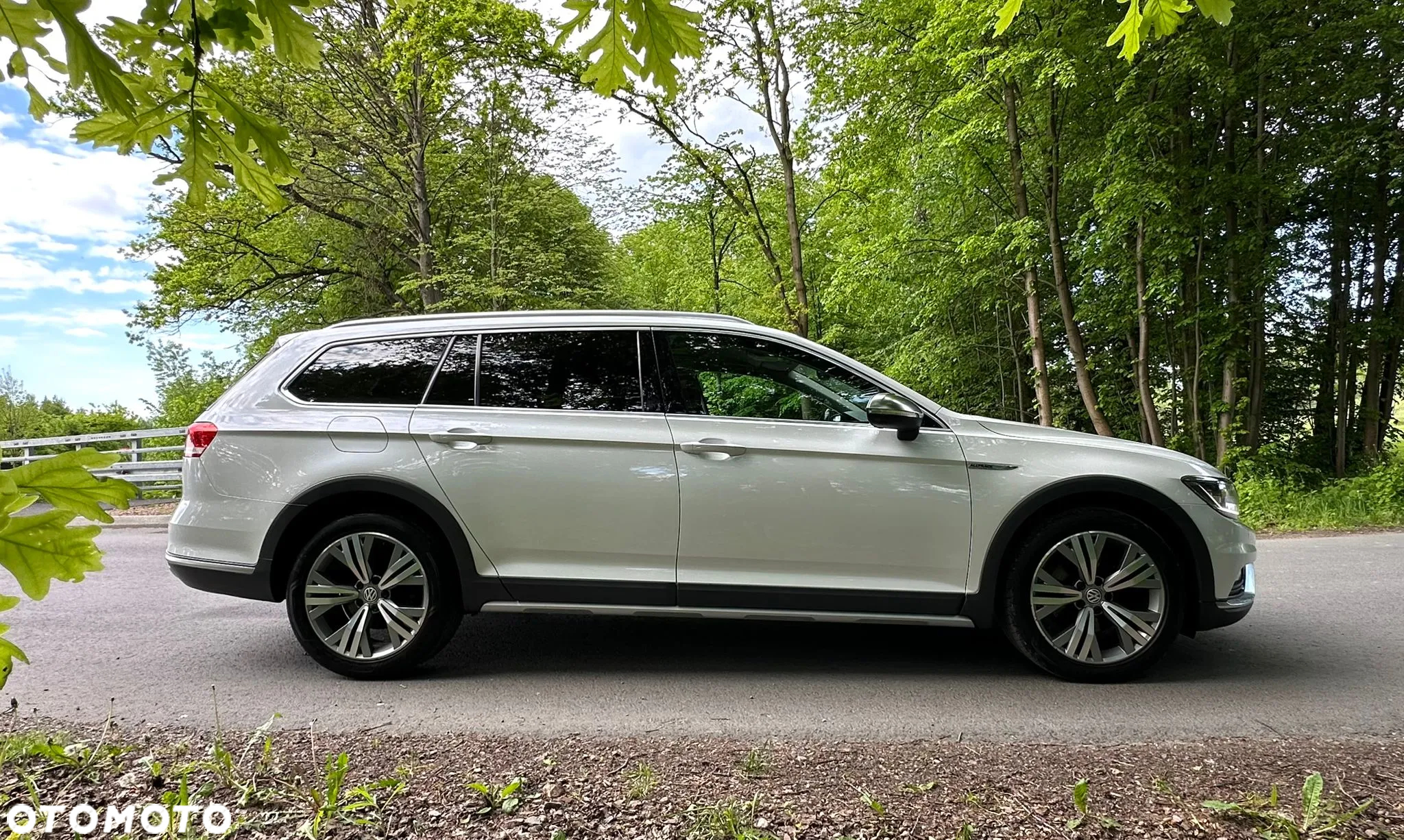 Volkswagen Passat Alltrack 2.0 TDI SCR 4Mot DSG - 6