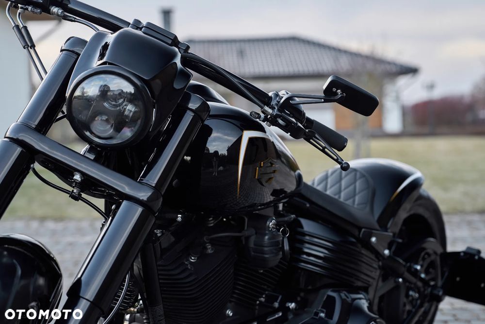 Harley-Davidson Inny - 11