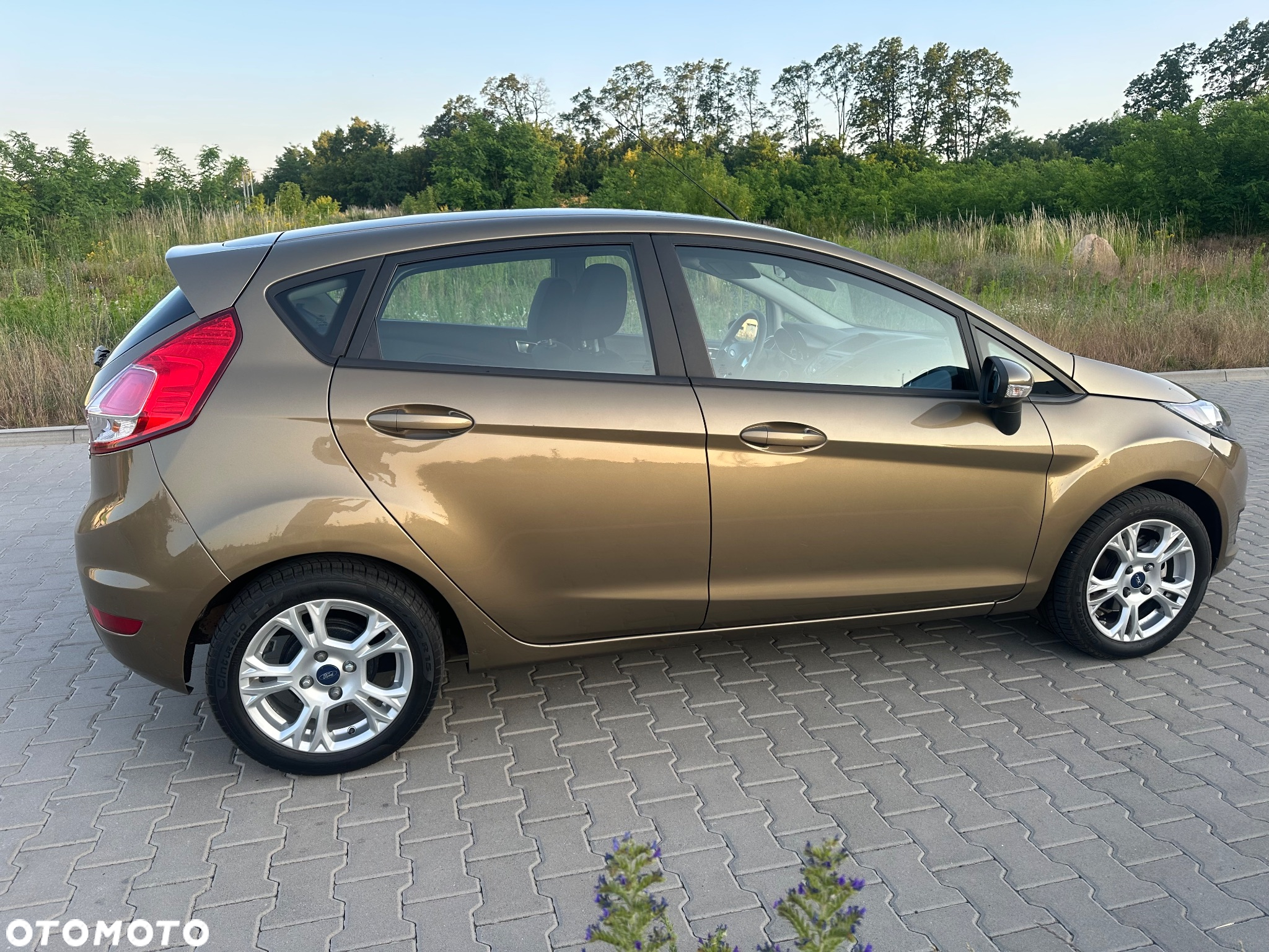 Ford Fiesta 1.25 Ambiente - 15