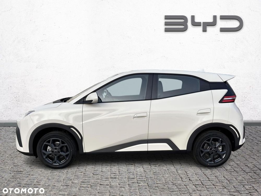 BYD Dolphin Surf - 2