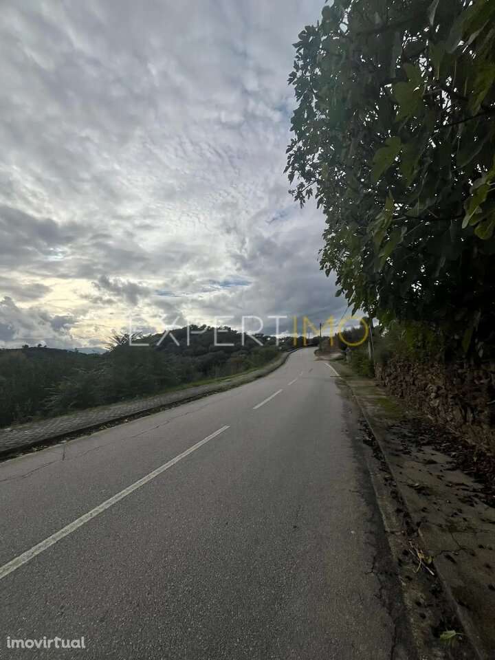 Moradia para recuperar Mirandela - Grande imagem: 5/16