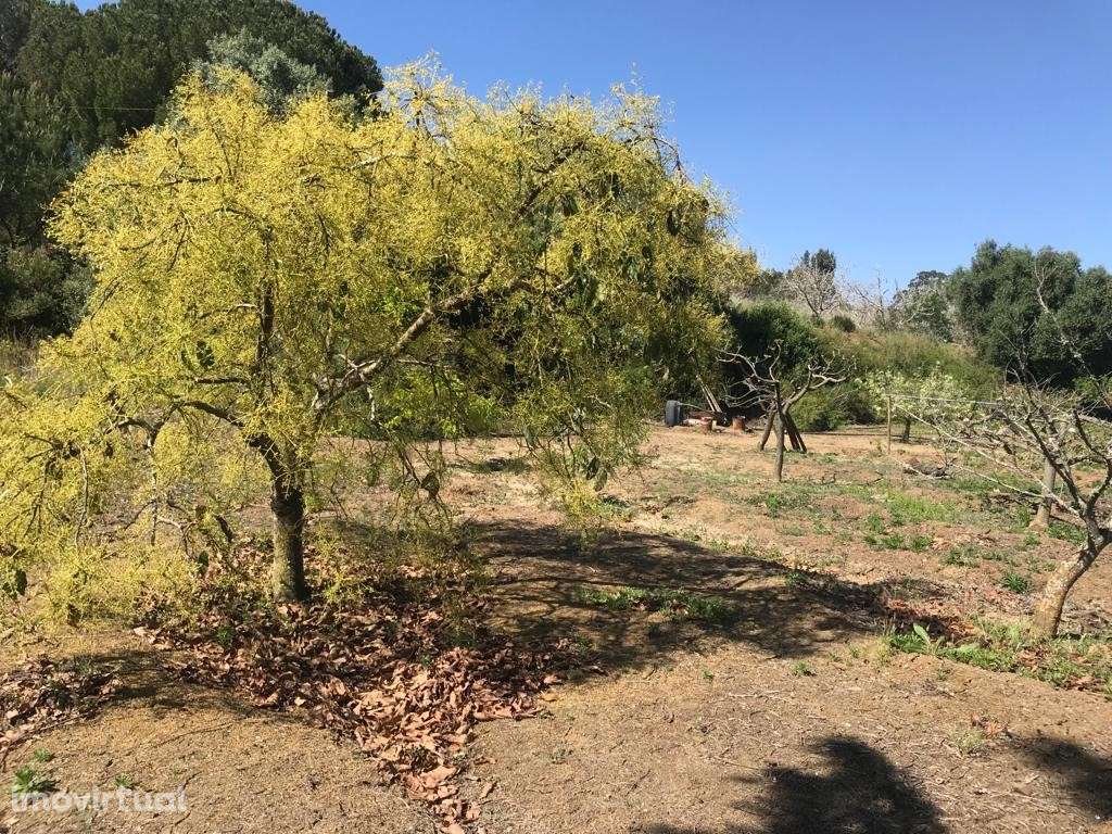 TERRENO Rústico (6.750 m2) - Grande imagem: 4/15