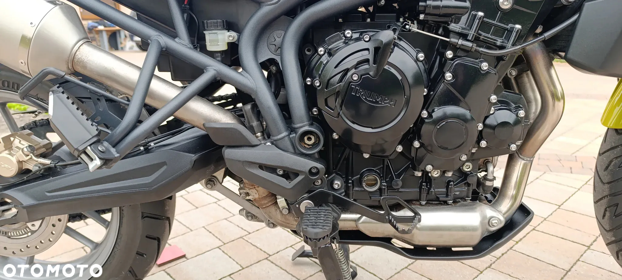 Triumph Tiger - 25