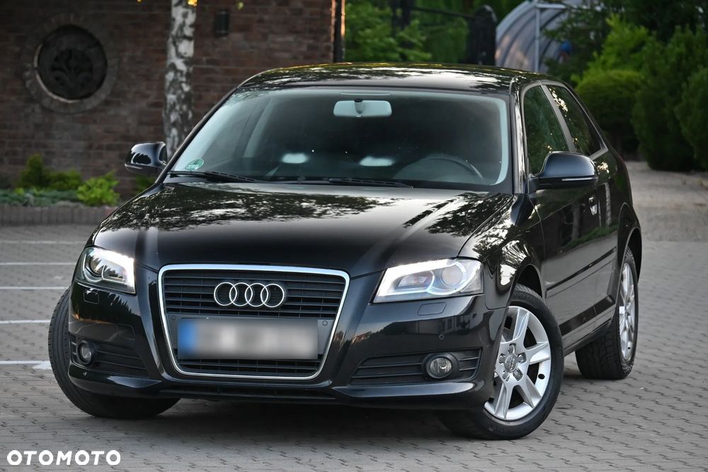 Audi A3 3-drzwiowe 1.6 Attraction - 10