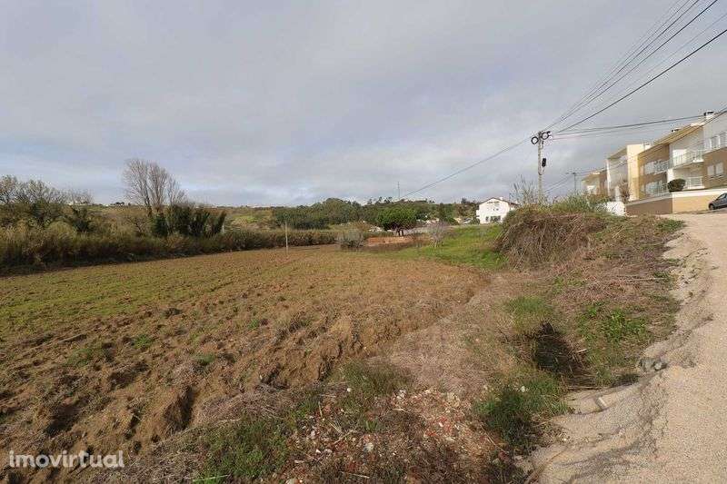 Terreno rústico 8.120m² - Torres Vedras - Grande imagem: 4/7