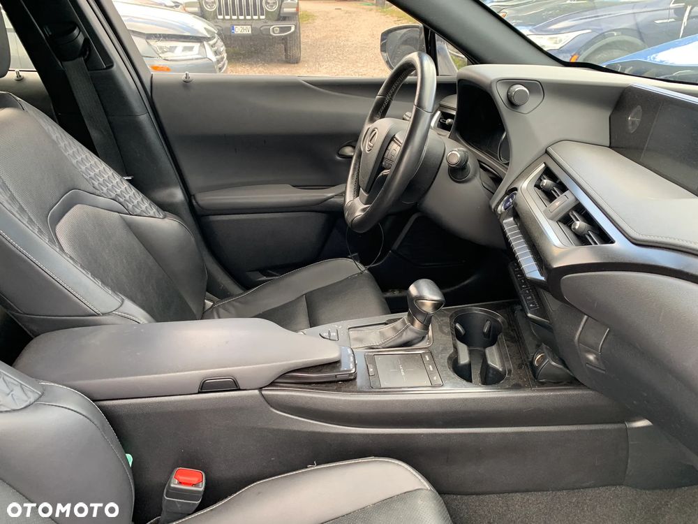 Lexus UX 250h - 14