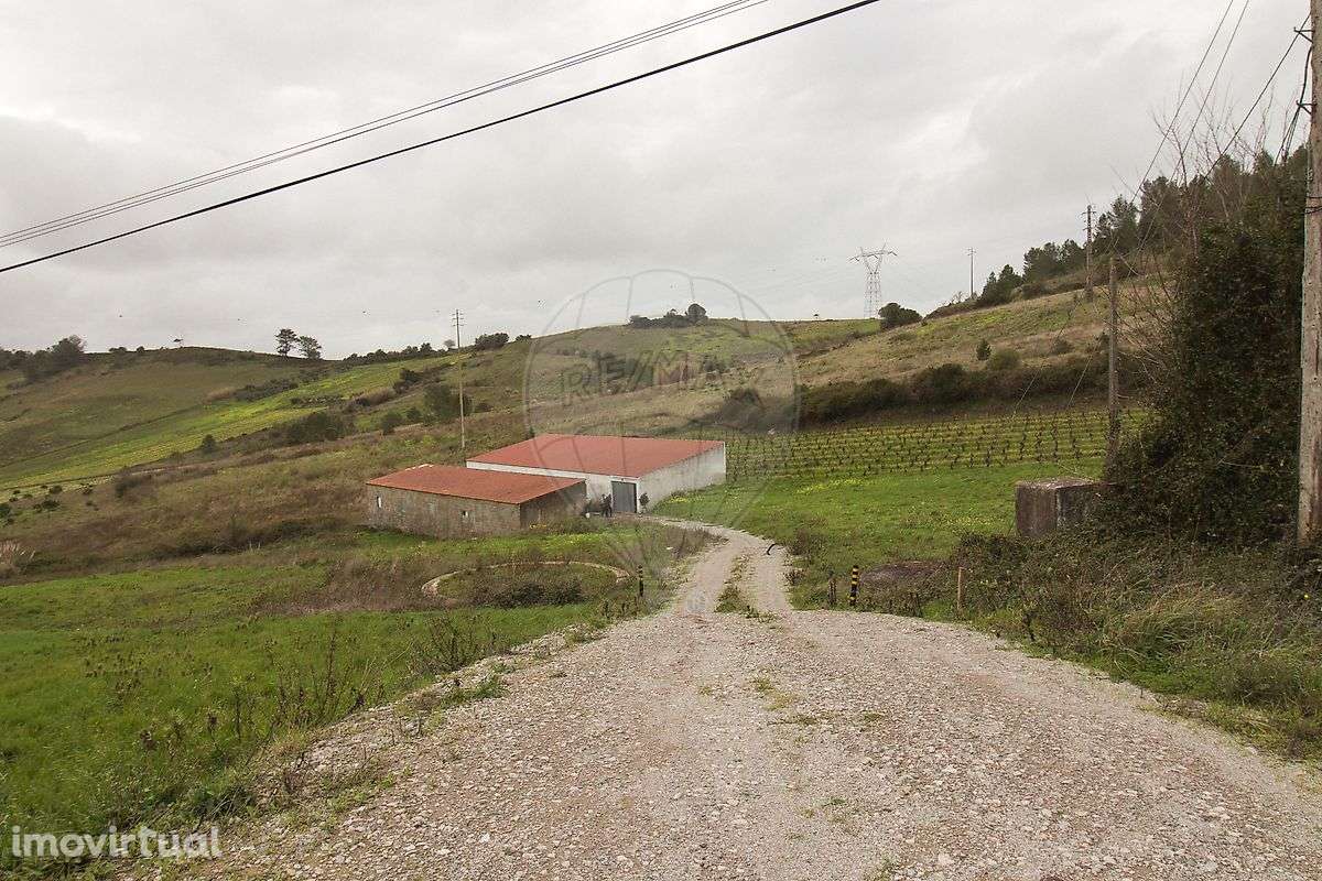 Armazém  para arrendamento - Grande imagem: 3/9