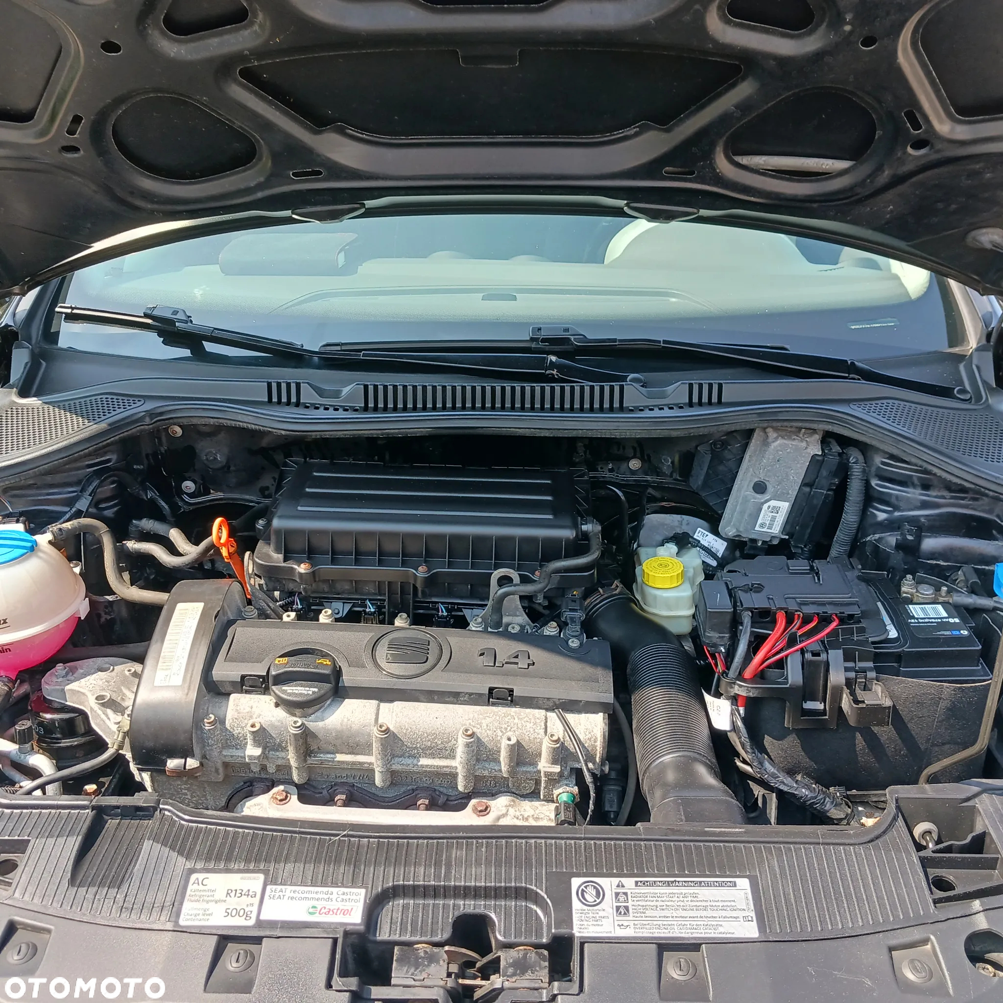 Seat Ibiza - 13