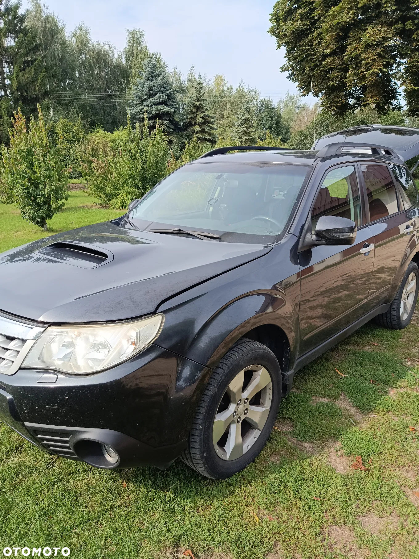 Subaru Forester - 10