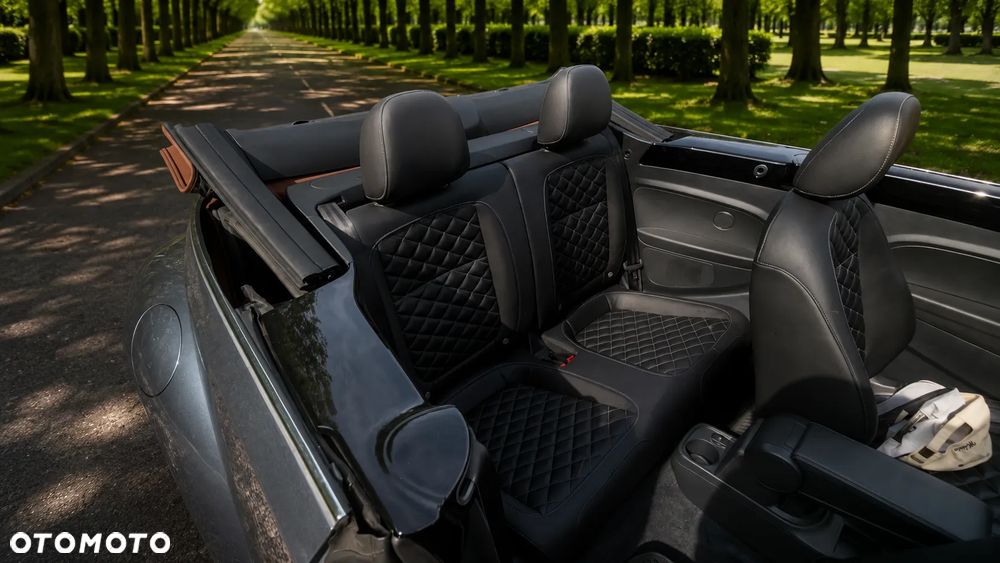 Volkswagen Beetle - 8