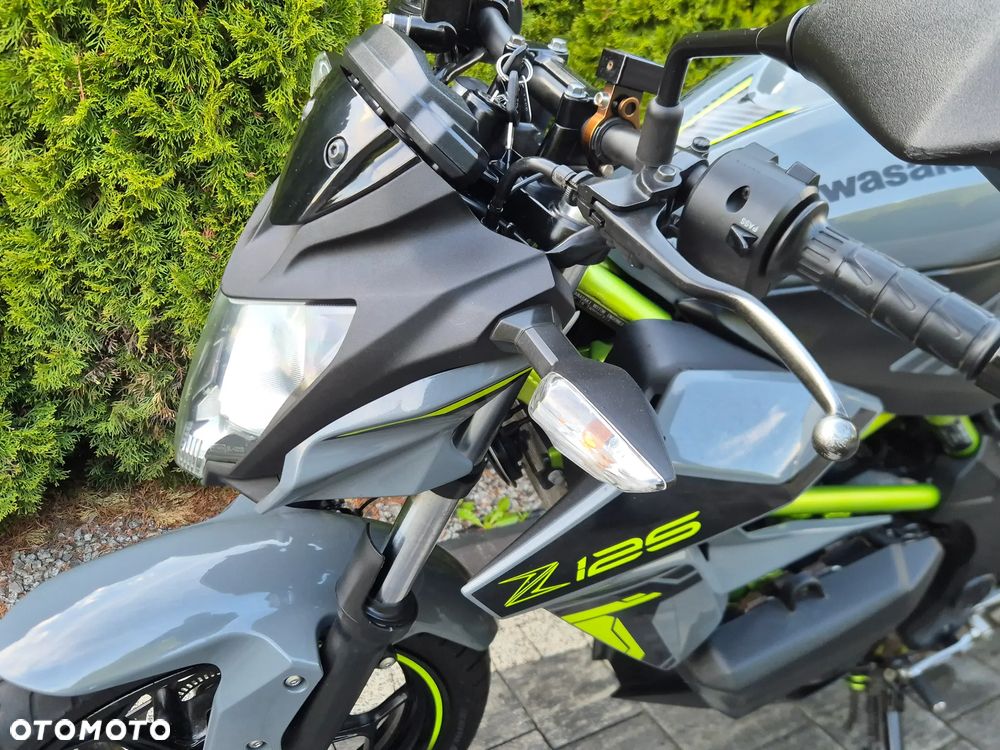 Kawasaki Z - 19