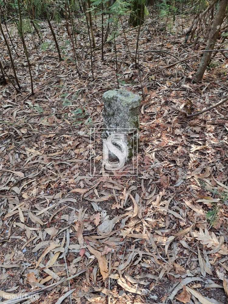 Terreno   em Arões (São Romão) - Grande imagem: 4/6