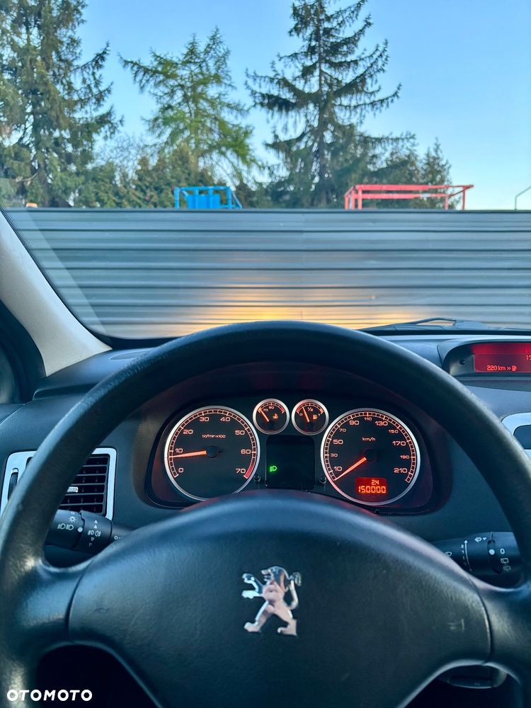 Peugeot 307 1.4 XS - 13