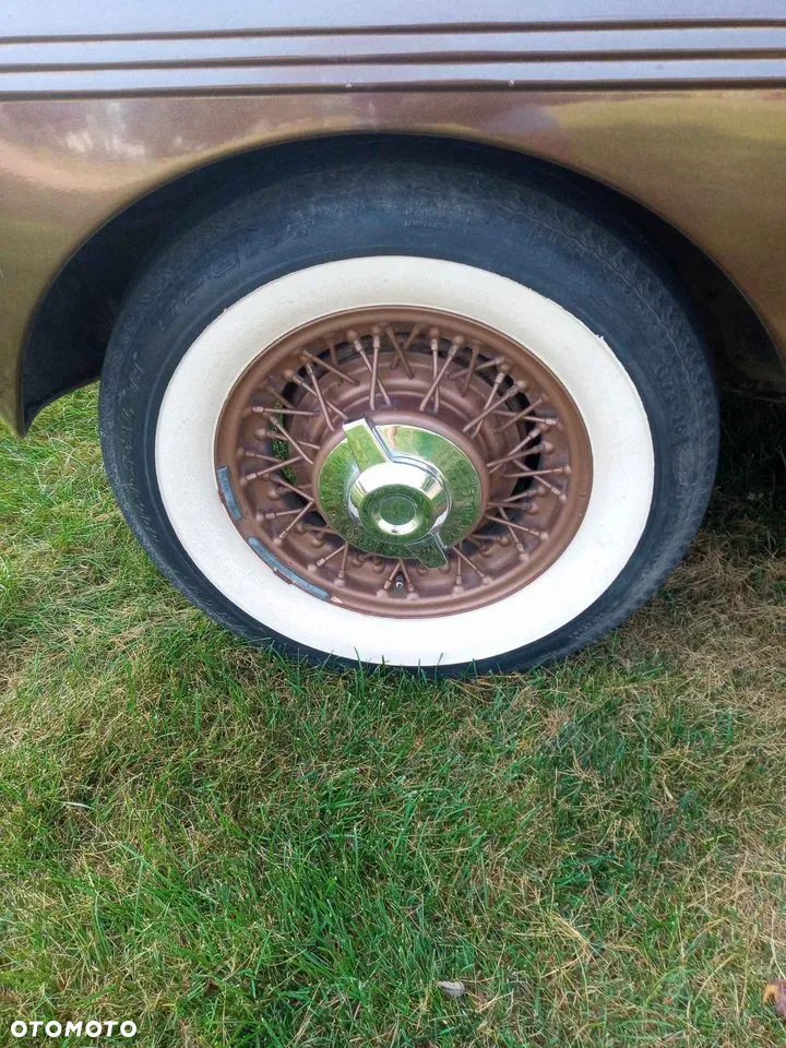 Dodge Inny - 15