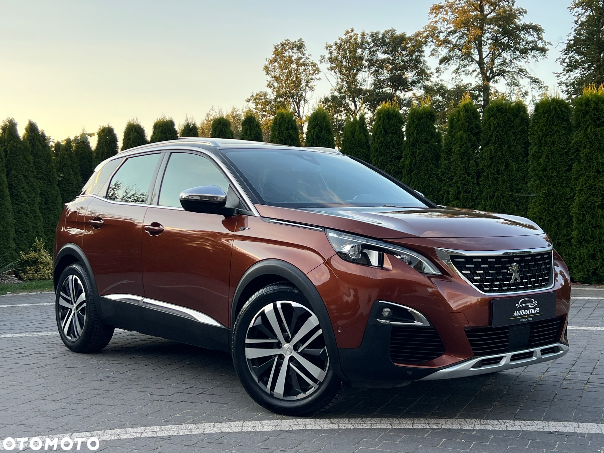 Peugeot 3008 2.0 BlueHDi GT S&S EAT6 - 16
