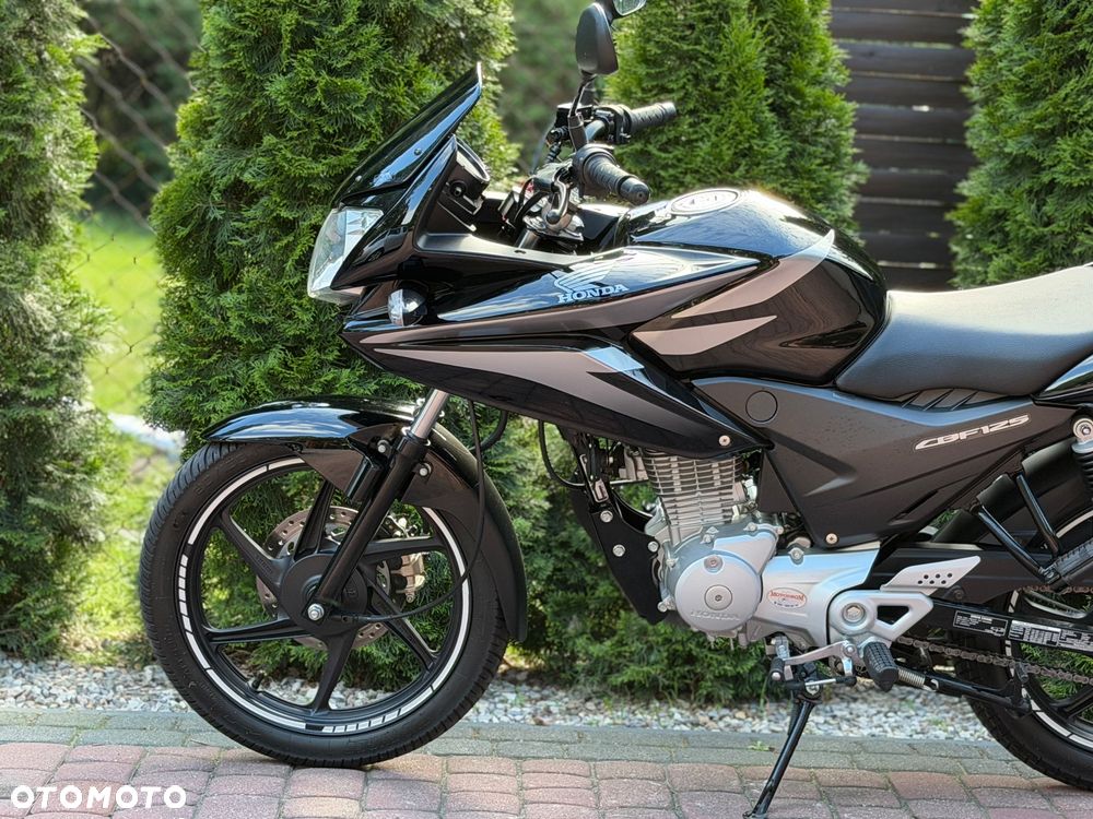 Honda CBF - 19