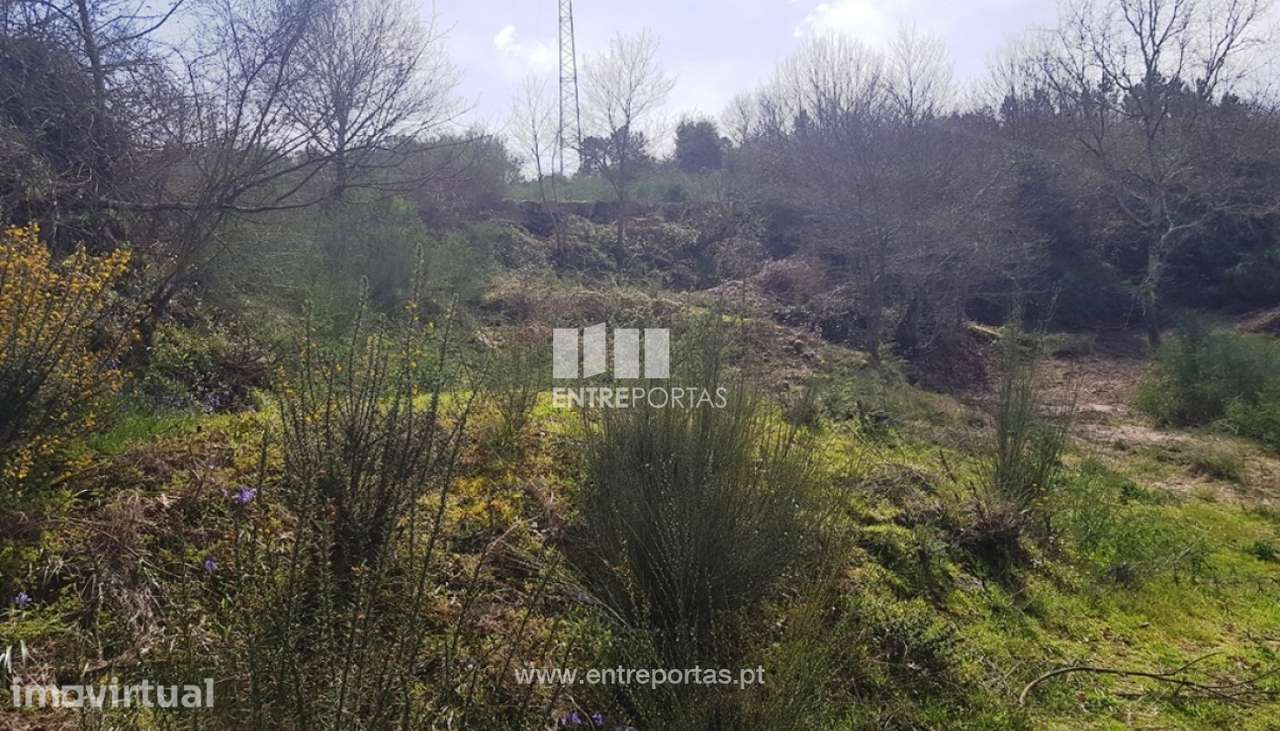 Venda Terreno, Constance, Marco de Canaveses - Grande imagem: 3/16