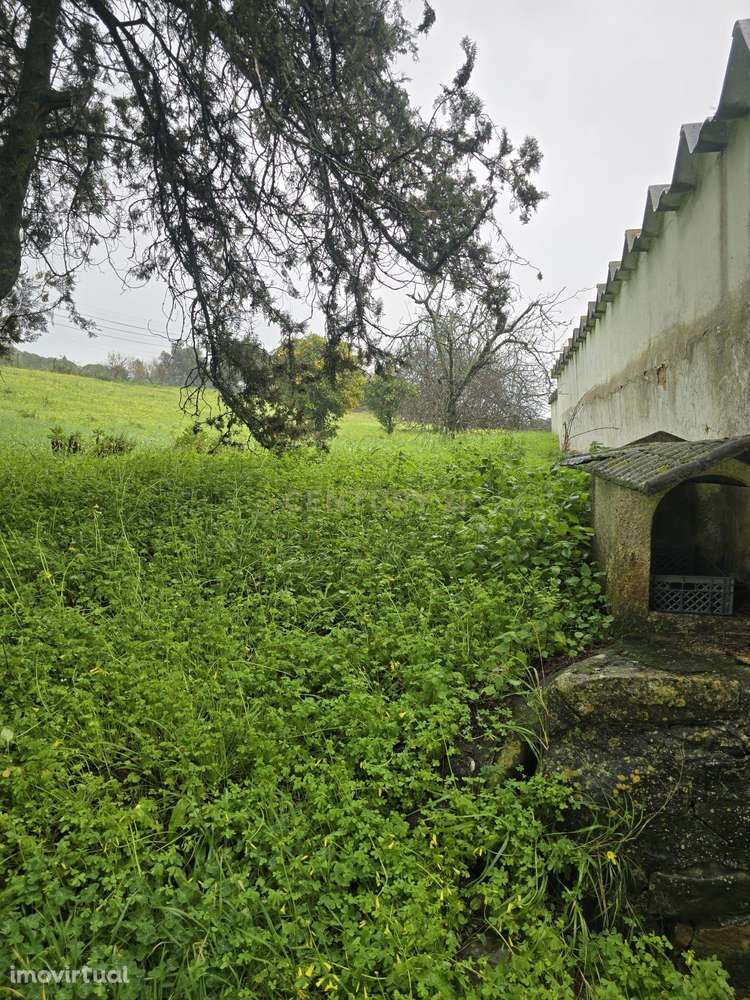 Prédio misto com um terreno rústico de 16.960 m² - Grande imagem: 3/10
