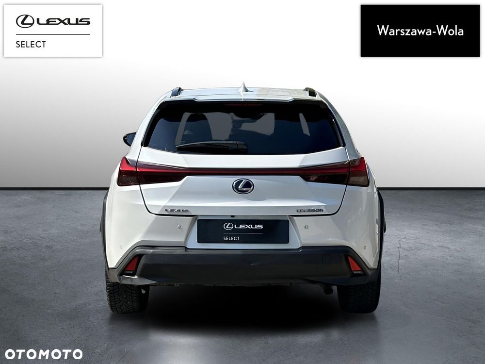 Lexus UX 250h GPF F Impression 2WD - 6
