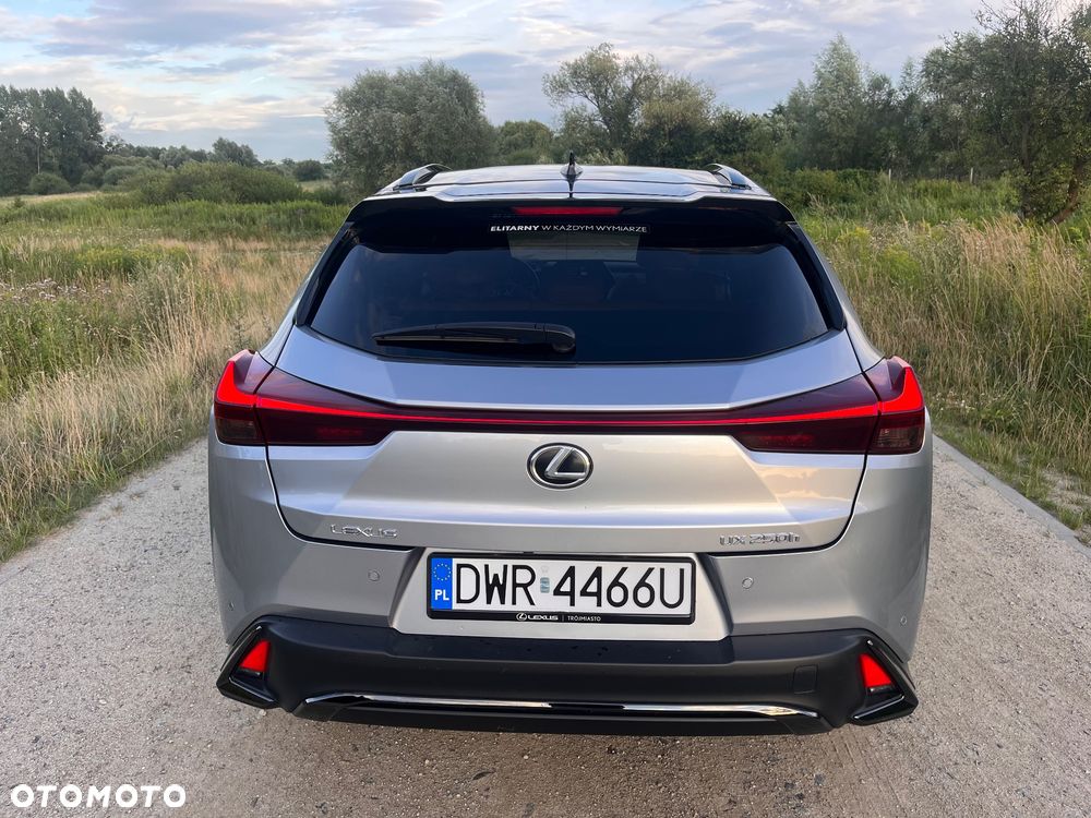 Lexus UX 250h GPF F Sport Design 2WD - 13